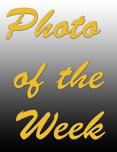 Photo of the Week