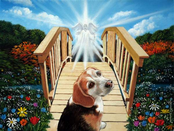 Your Favorite Pet or Animal Portrait with Scenery